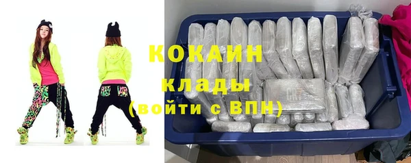 эйфоретик Богданович