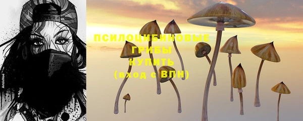 прущая мука Богородицк