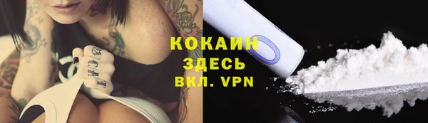 прущая мука Богородицк