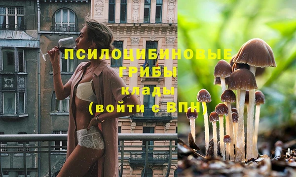 прущая мука Богородицк